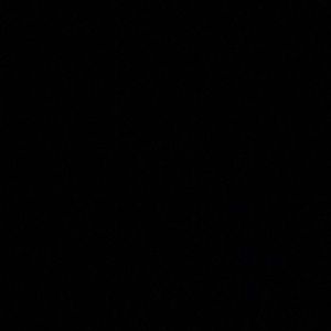 Meet your Posher, Ashlynn